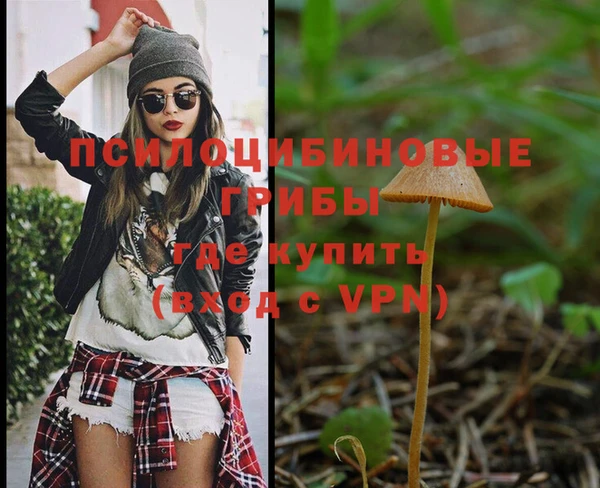 a pvp Армянск