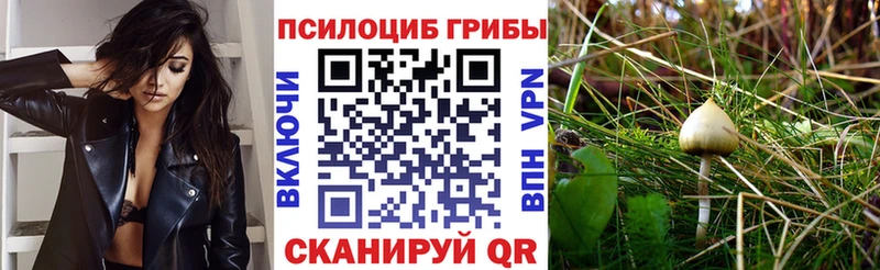 даркнет сайт  это наркотические препараты  Галлюциногенные грибы мицелий  Ирбит 